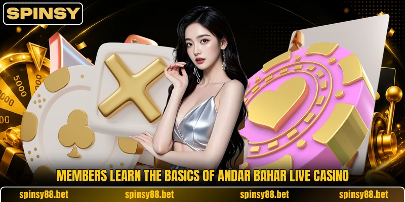 Members learn the basics of andar bahar live casino