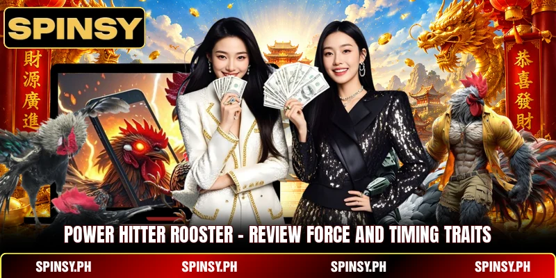 Power Hitter Rooster – Review Force And Timing Traits