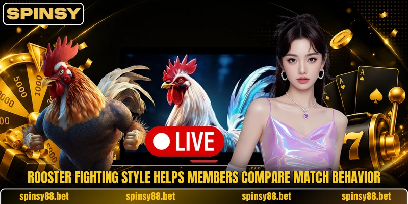 Rooster Fighting Style helps members compare match behavior